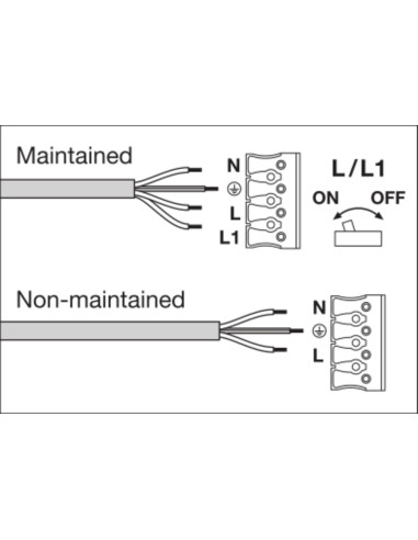 PLAFON SURFACE BULKHEAD SENSOR EMERGENCY 250 10W/4000K WT IP65 