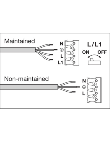 PLAFON SURFACE BULKHEAD SENSOR EMERGENCY 250 10W/4000K WT IP65 