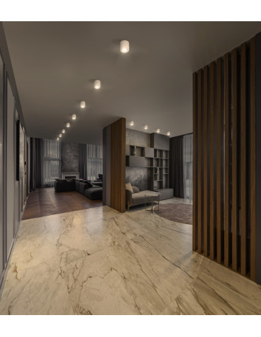 DOWNLIGHT SURFACE DN 250 P 45W 3000K ciepła biała  36D IP65 WT 