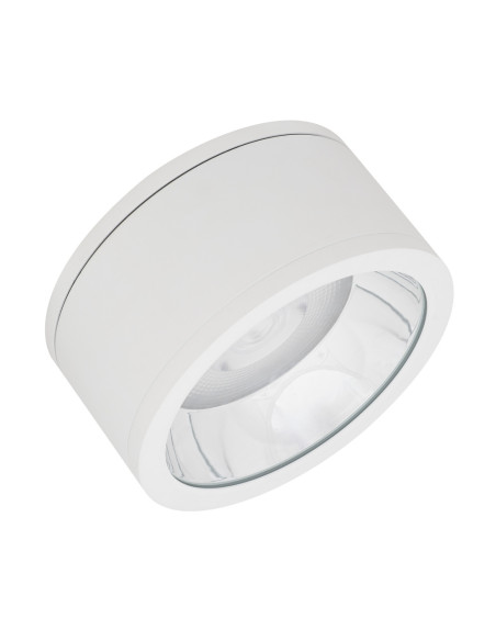 DOWNLIGHT SURFACE DN 250 P 45W 3000K ciepła biała  36D IP65 WT 