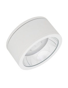 DOWNLIGHT SURFACE DN 250 P 45W 4000K neutralna biała  36D IP65 WT 
