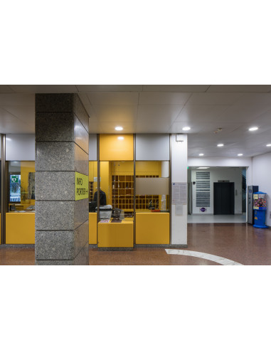 DOWNLIGHT DL ALU DALI DN150 14W/6500K WT IP44 