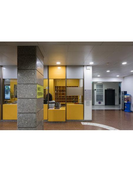 DOWNLIGHT DL ALU DALI DN150 14W/6500K WT IP44 