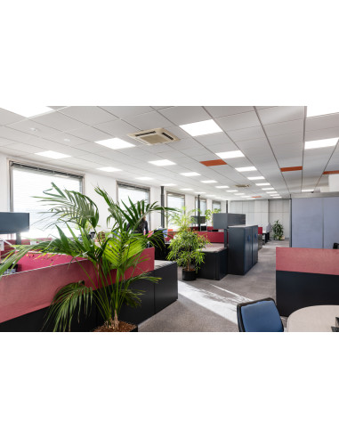 ZASILACZ DR DALI-SUP-150/220-240/24 STAŁONAPIĘCIOWY DALI 1-KANAŁOWY IP20 