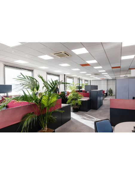 ZASILACZ DR DALI-SUP-150/220-240/24 STAŁONAPIĘCIOWY DALI 1-KANAŁOWY IP20 