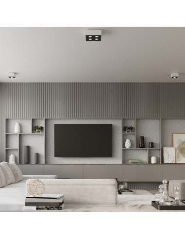 Plafon MONO 2 biały