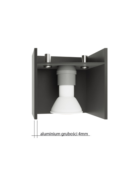 Plafon QUAD 2 czarny