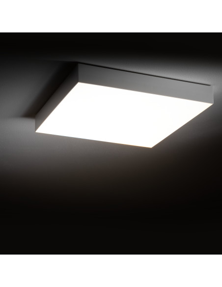 LID SQUARE LED 50W 10432