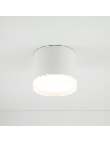 SILBA 10476