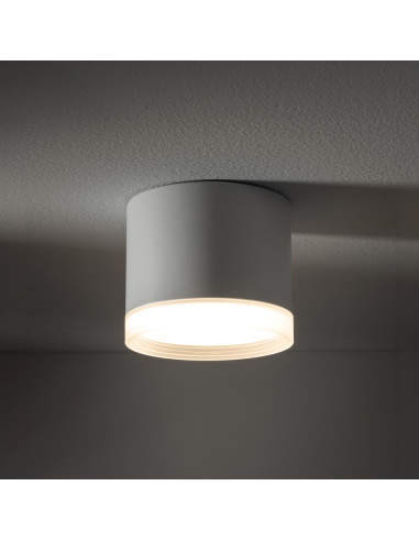 SILBA 10476