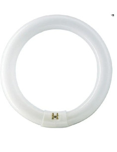 Świetlówka owadobójcza FC32W UV-A T9 G10Q INSERT ATTRACTION SYLVANIA