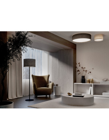 CEDRO S 11670