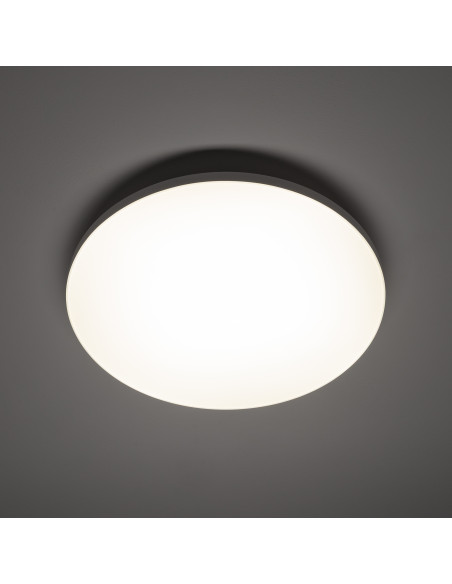 DENIA LED M 11756