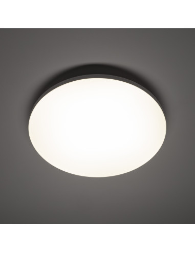 DENIA LED M 11757