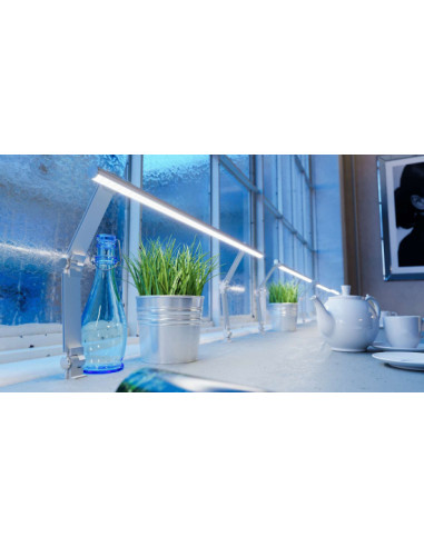 Zdjęcie produktu 123576