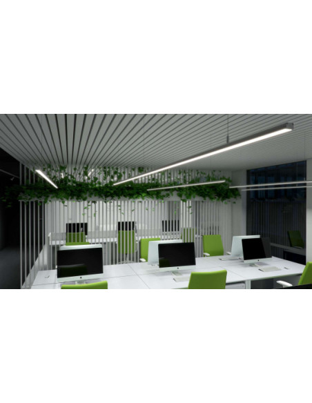 Zdjęcie produktu 123643