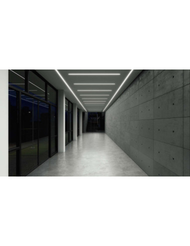 Zdjęcie produktu 123648