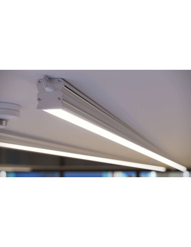 Zdjęcie produktu 123677