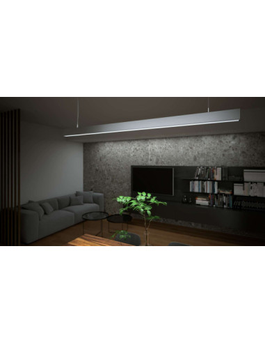 Zdjęcie produktu 123781