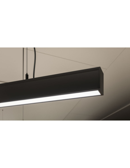 Zdjęcie produktu 123911