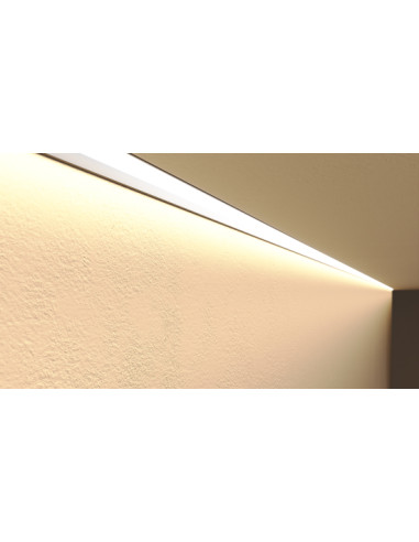 Zdjęcie produktu 124065