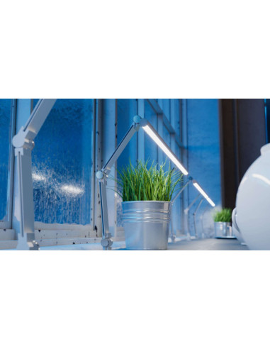 Zdjęcie produktu 124235