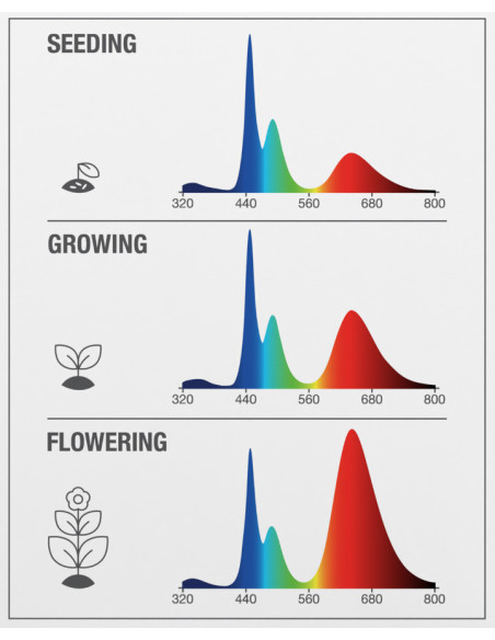 ŻARÓWKA LED STAR GROW LAMP T 80 20W CL E27 WSPOMAGAJĄCA WZROST ROŚLIN  