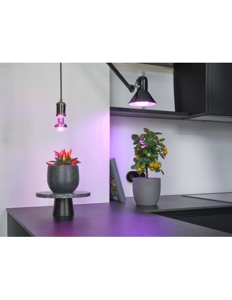 ŻARÓWKA LED STAR GROW LAMP T 80 20W CL E27 WSPOMAGAJĄCA WZROST ROŚLIN  