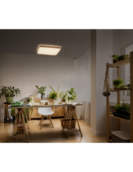 PLAFON LED ORBIS ALICIA 495X495MM 36W 3000K ciepła biała CLICK DIM WOOD DECOR 