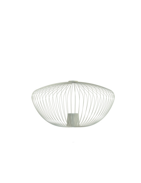 CAMELEON PUMPKIN M 12040