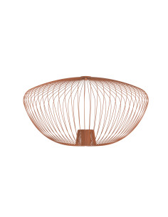 CAMELEON PUMPKIN L 12042