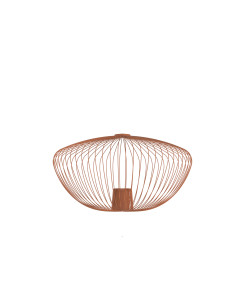 CAMELEON PUMPKIN M 12038