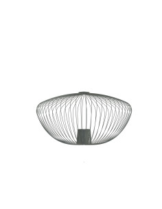 CAMELEON PUMPKIN M 12041