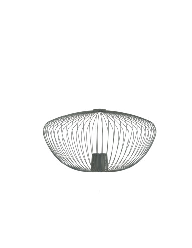 CAMELEON PUMPKIN M 12041