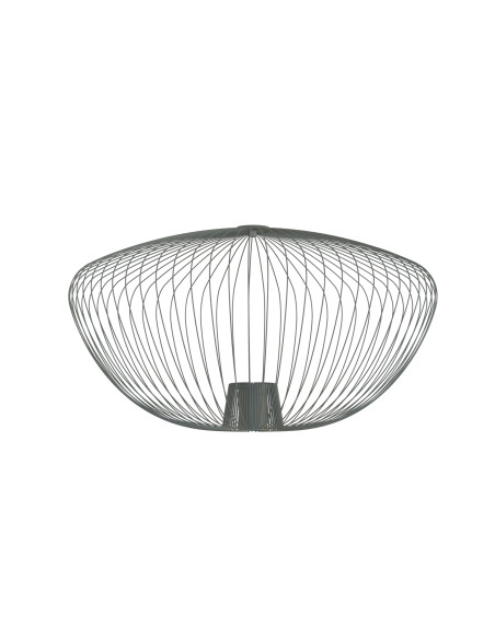 CAMELEON PUMPKIN L 12044