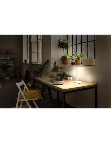 LAMPKA BIURKOWA OFFICE LINE DESK BANKER 7W CCT DIM WHITE 