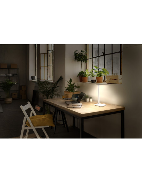 LAMPKA BIURKOWA OFFICE LINE DESK BANKER 7W CCT DIM WHITE 