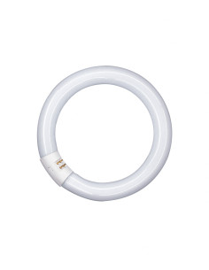 ŚWIETLÓWKA KOŁOWA L40/21 4000K neutralna biała C T9 G10Q 