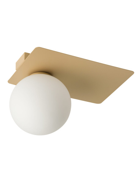 Zdjęcie produktu 125640
