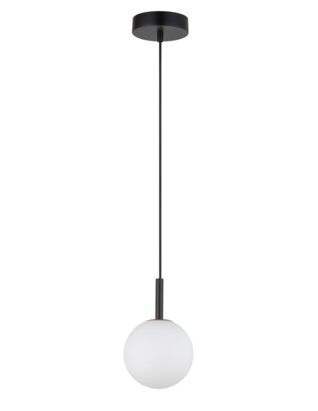Zdjęcie produktu 125876