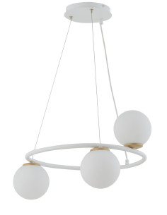 Zdjęcie produktu 125899