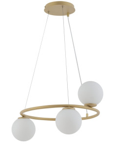 Zdjęcie produktu 125901