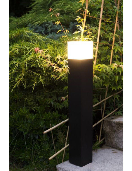 Zdjęcie produktu 126979