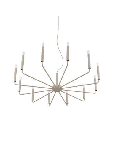 ORTO B 12526