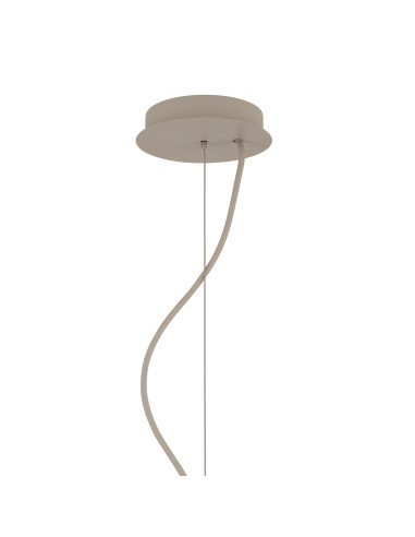 ORTO B 12526