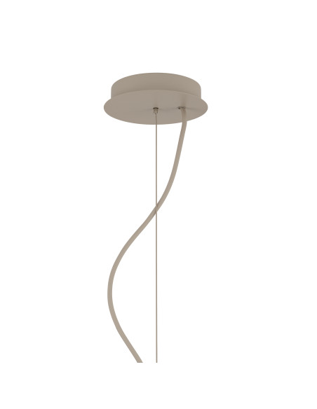 ORTO B 12526