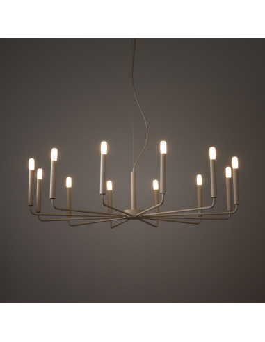 ORTO B 12526
