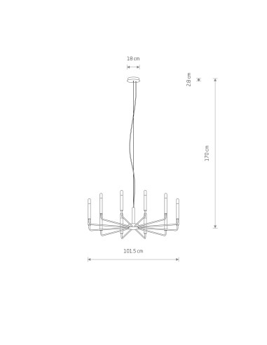 ORTO B 12526
