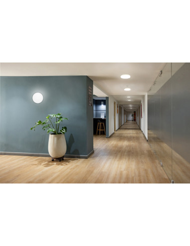 PLAFON LED SURFACE DISC DALI 300 V 21W/15W/9W 3000K/4000K 120LM/W IP54 IK10 