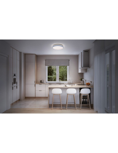 OPRAWA SMART + MATTER GISELA 385 24W 2700LM RGBW PLAFON SILVER 